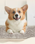 A self-heating pet bed or mat, no electricity needed, for cats and dogs, providing extra warmth.